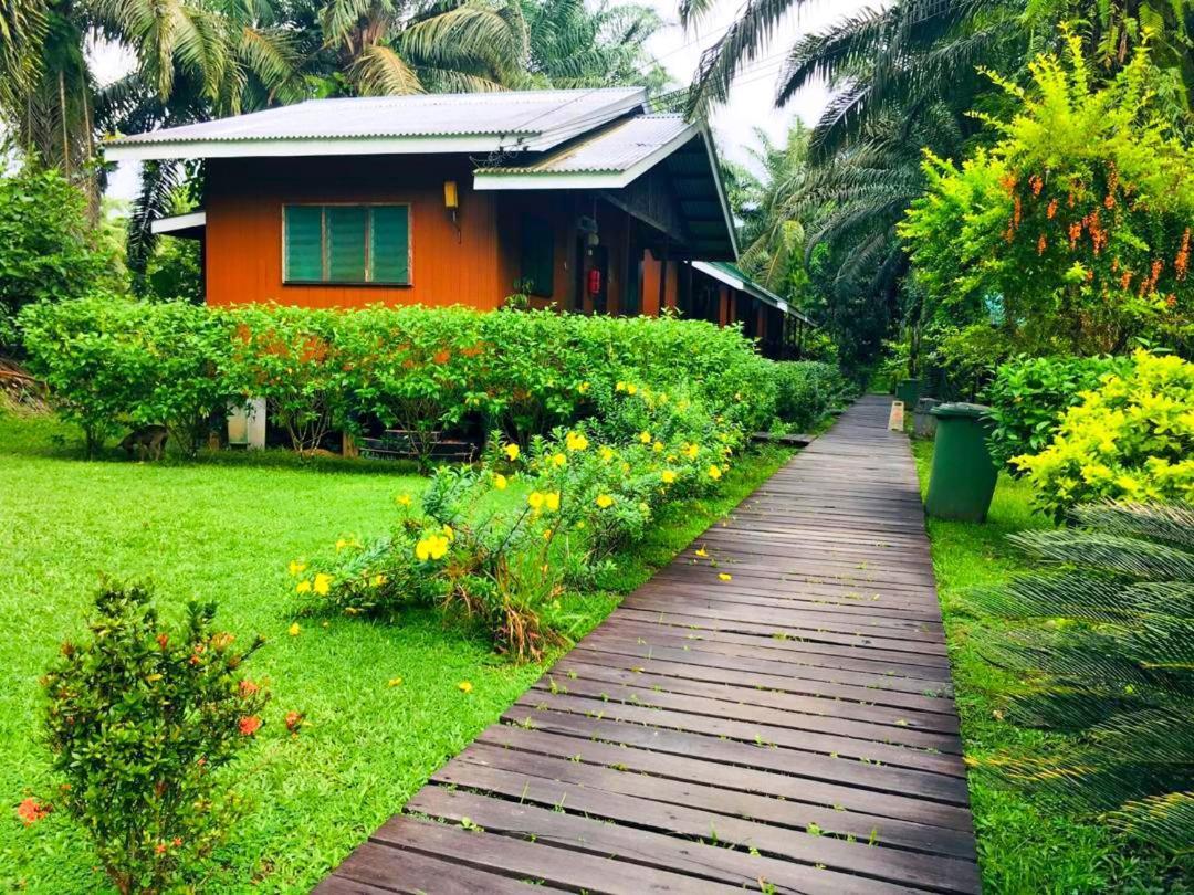 Sukau Backpackers Bed & Breakfast Exterior photo